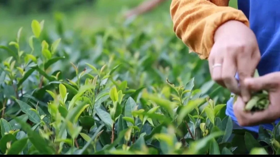 微信圖片_20220324084635.jpg 微信圖片_20220324084635.jpg